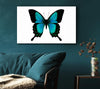 Turquoise Butterfly Wings