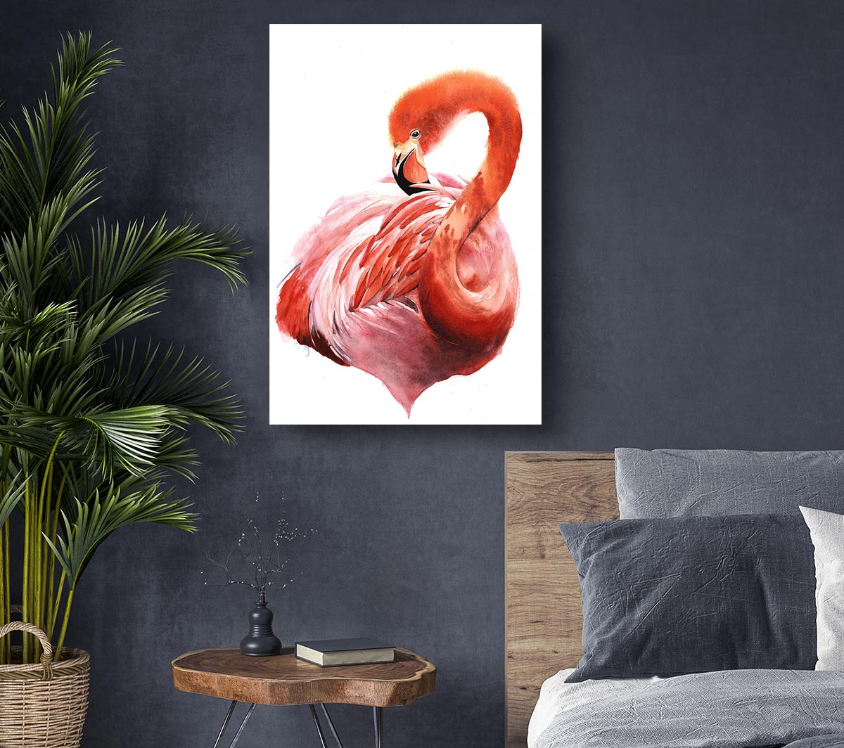 Flamingo Groom