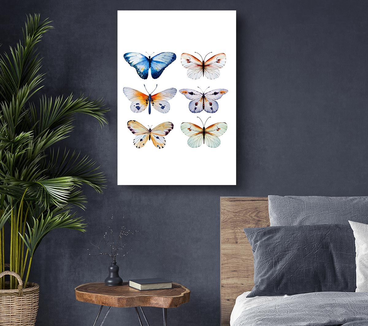 Butterfly Breeds