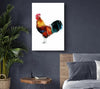 Rooster