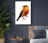 Robin Red Breast