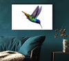 Hummingbird Colours