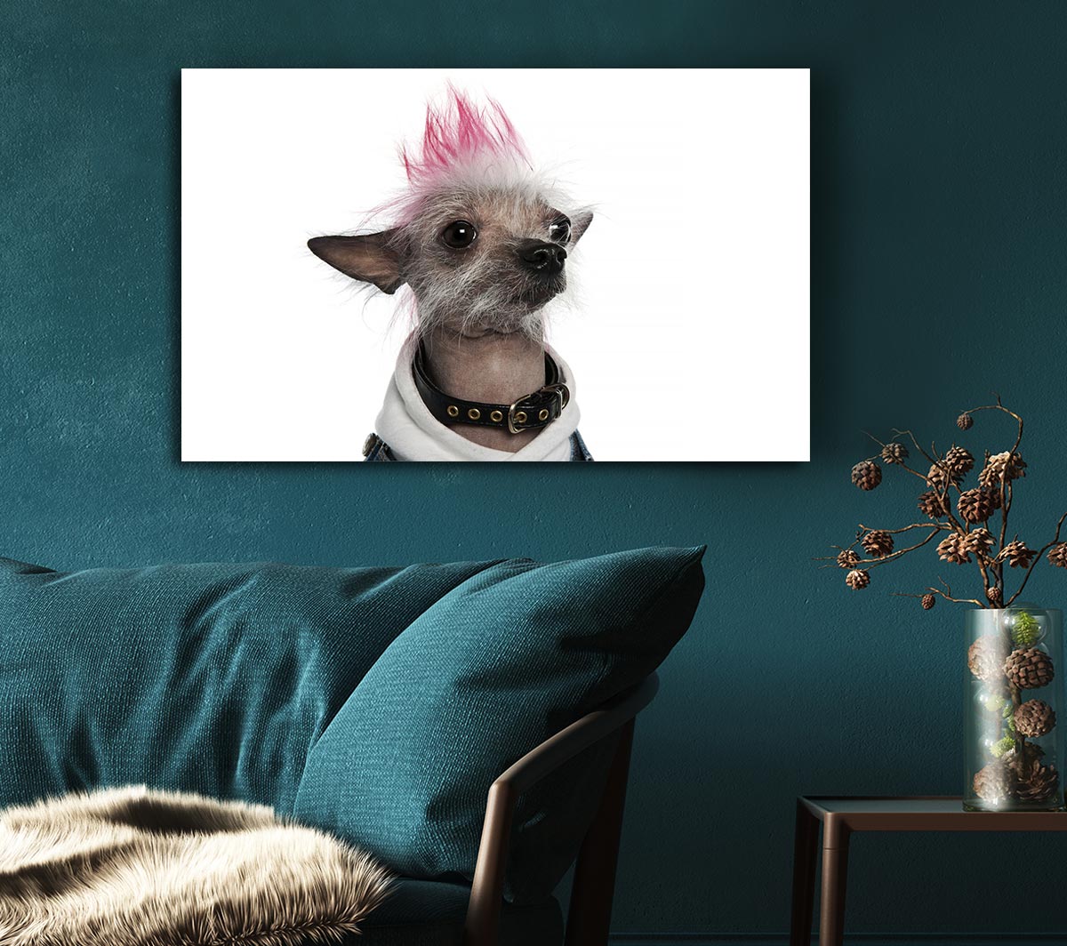 Chinese Crested Punk Dog