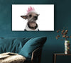 Chinese Crested Punk Dog