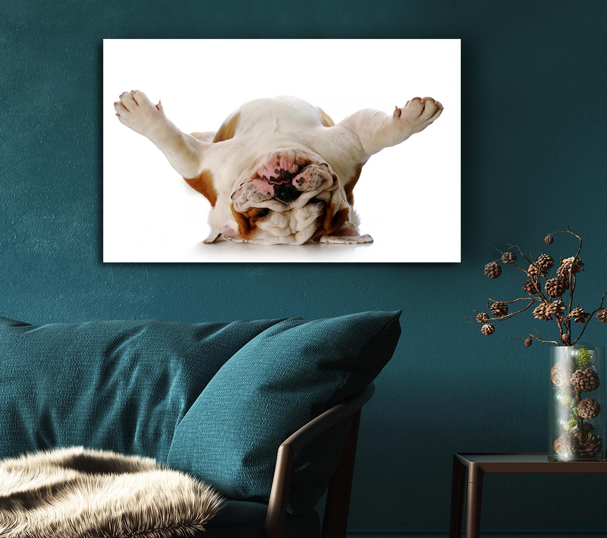 English Bulldog Snooze