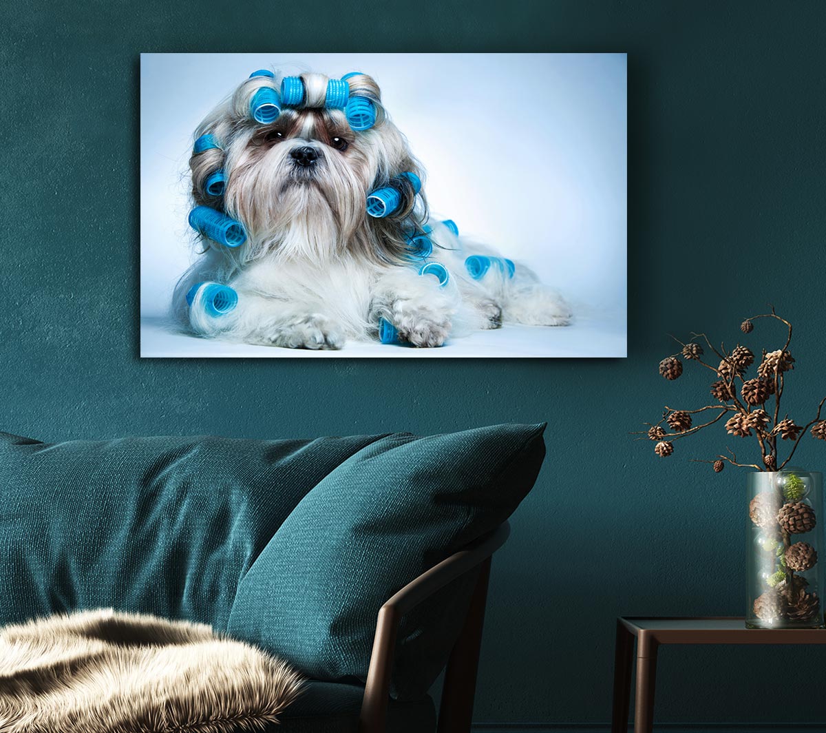 Shih Tzu Dog In Curlers