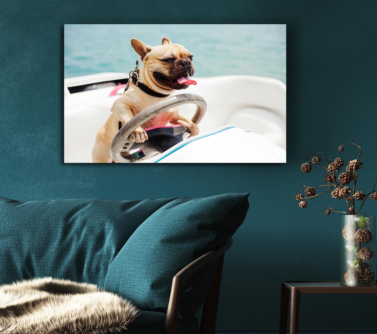 Speed boat French bulldog