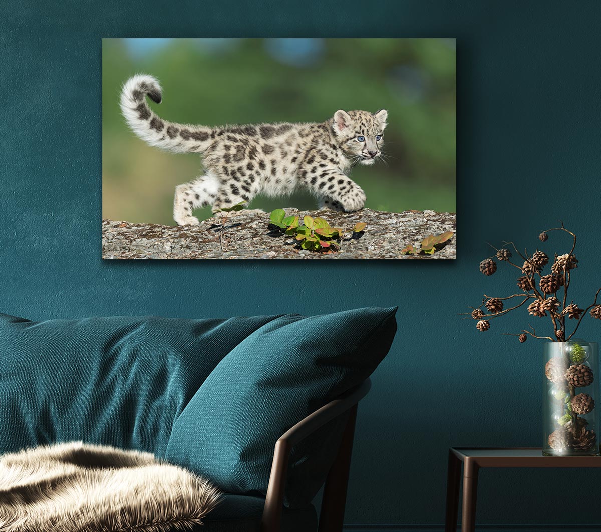 Leopard Cub walking a branch