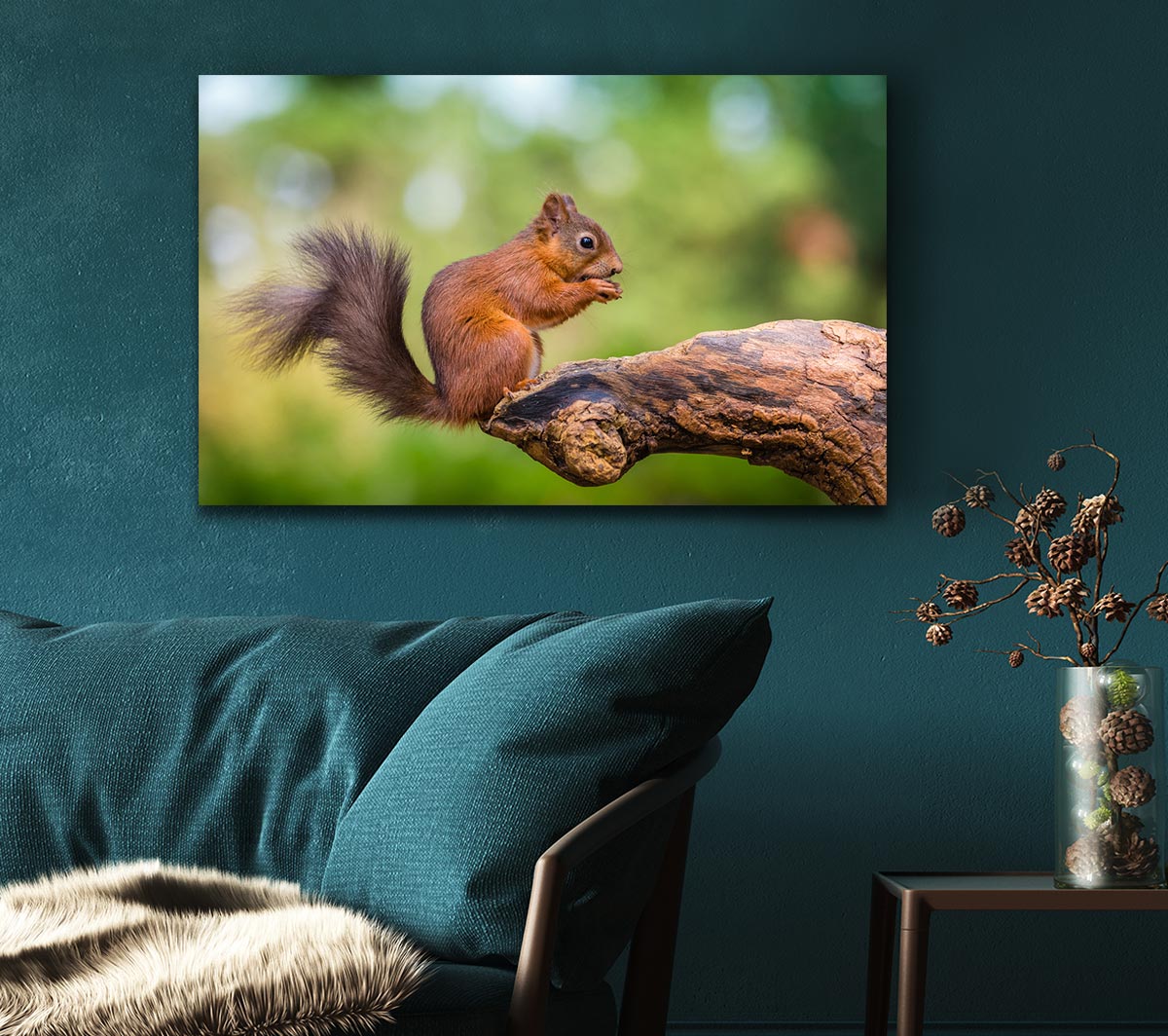 Squirrell eating nuts on branch