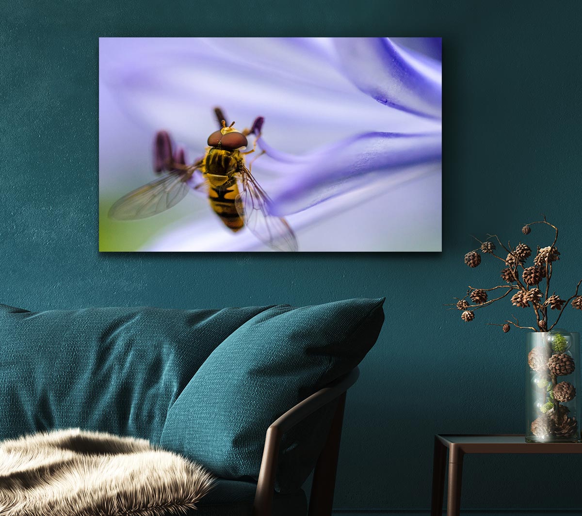 Hover fly on a purple flower