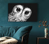 The Big Eyed Owl