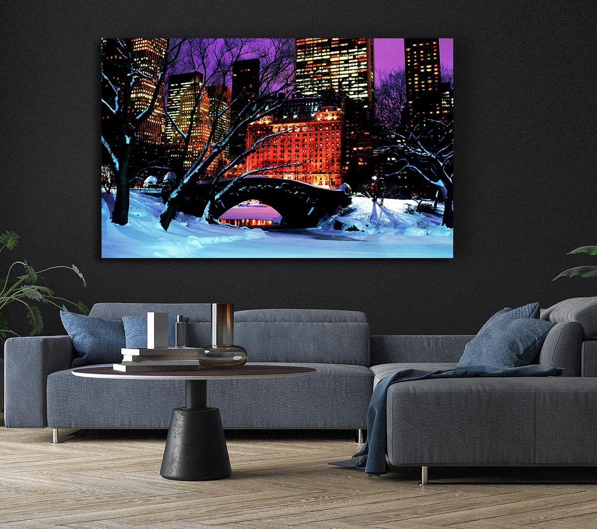 New York City Central Park Night Snow