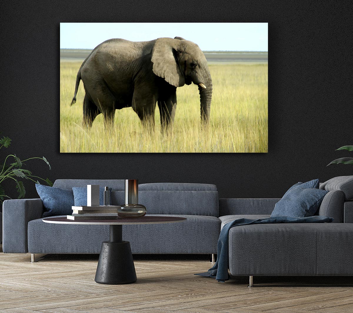 African Elephant Namibia