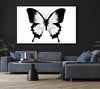 Black And White Butterfly Wings