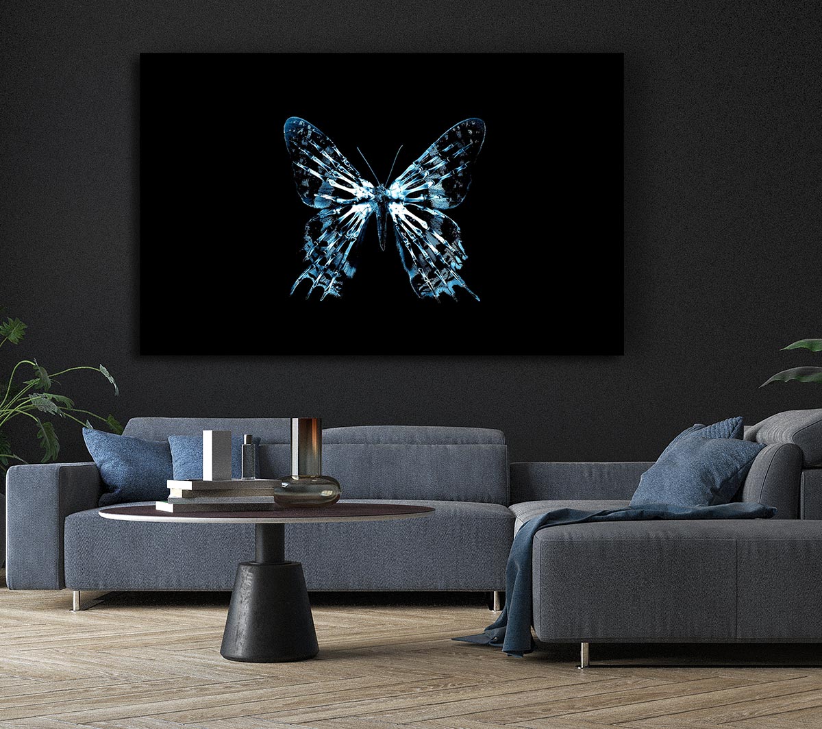 Butterfly X Ray