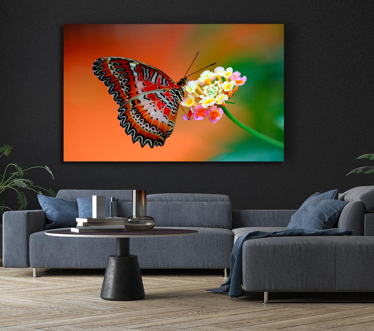 Colourful Butterfly Rests