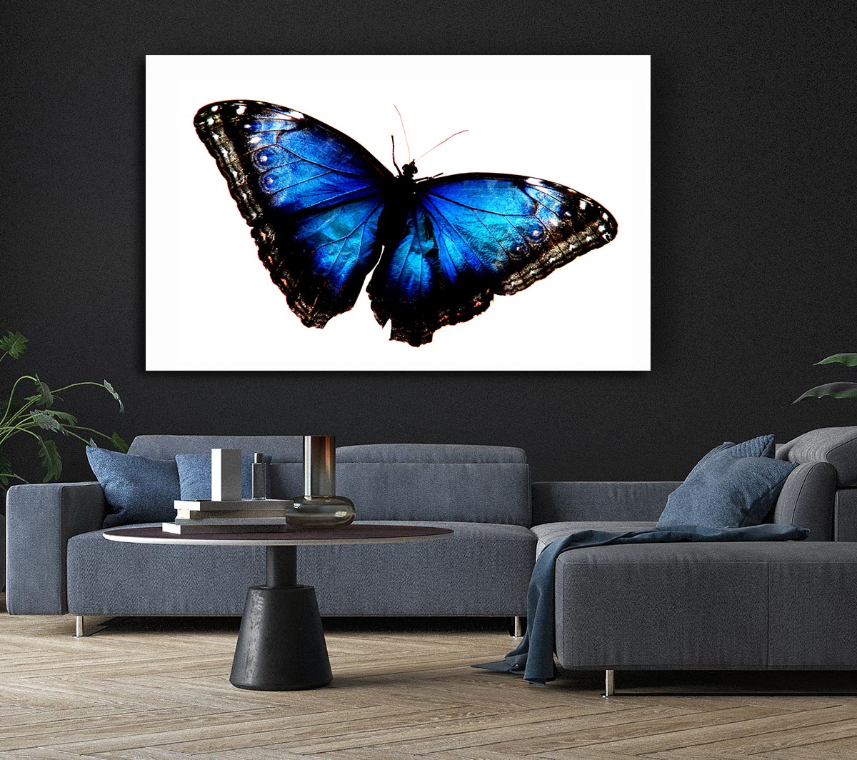 Diamond Blue Butterfly Wings