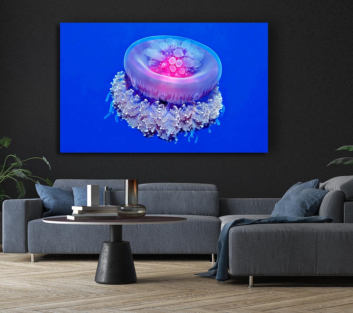 Jellyfish Pink