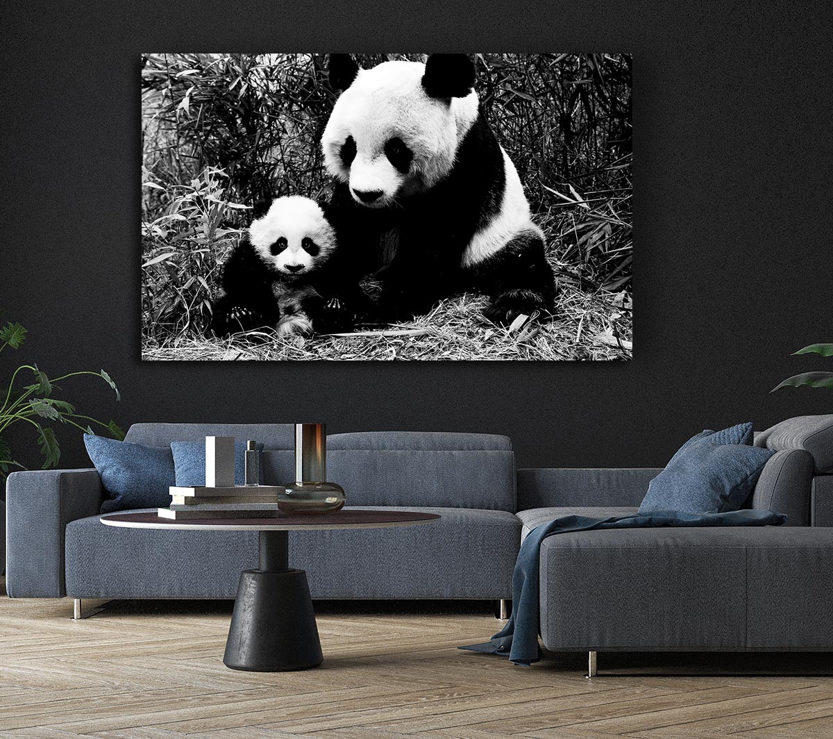 Panda Mother And Baby