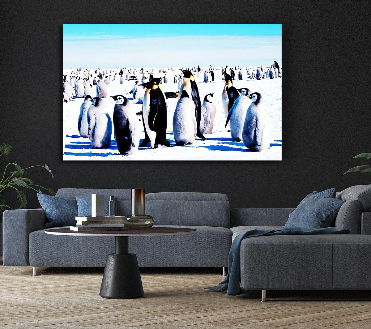 Penguin Meeting Place