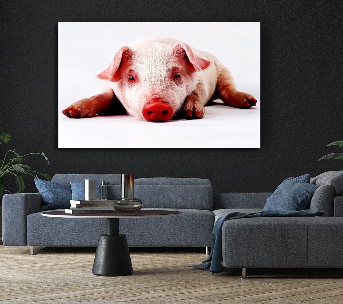 Pig Portrait