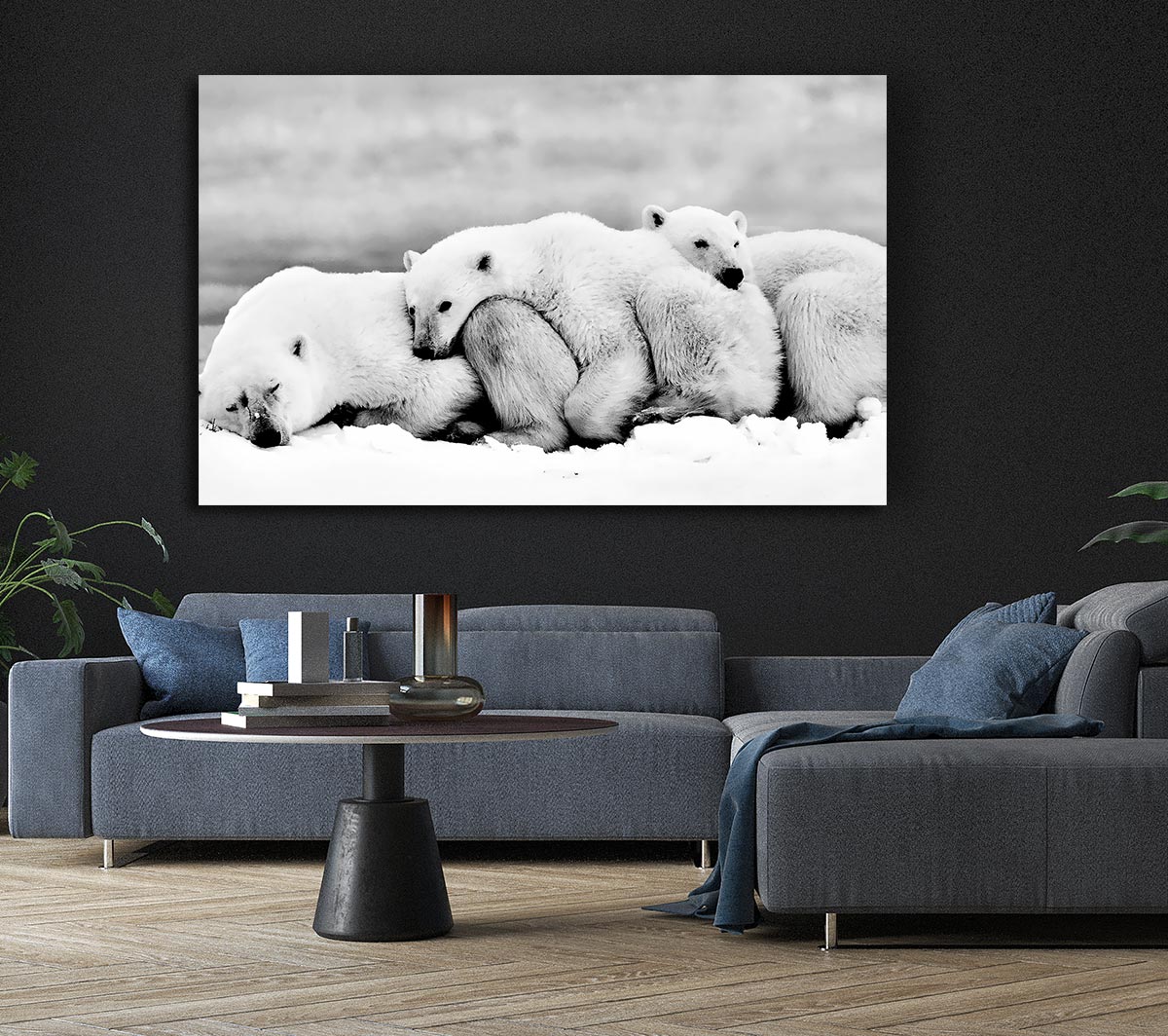 Polar bear Family