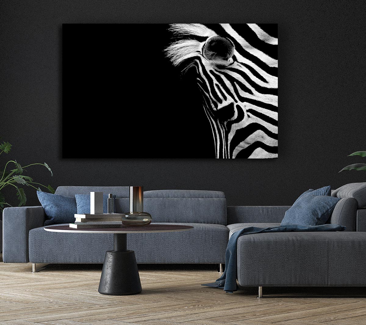 Sad Zebra