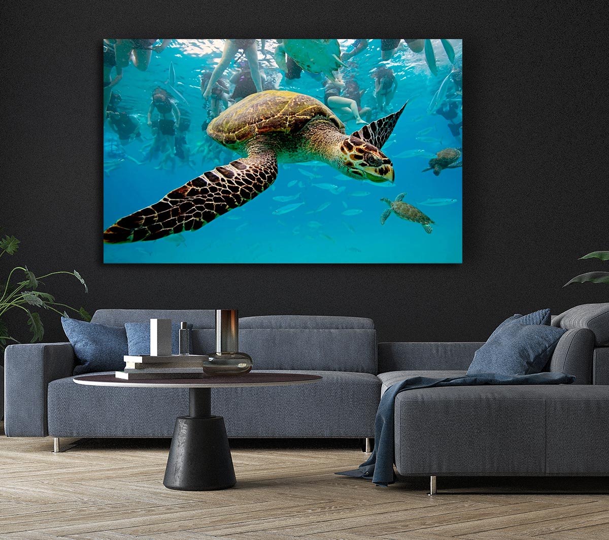 Sea Turtle Under Water