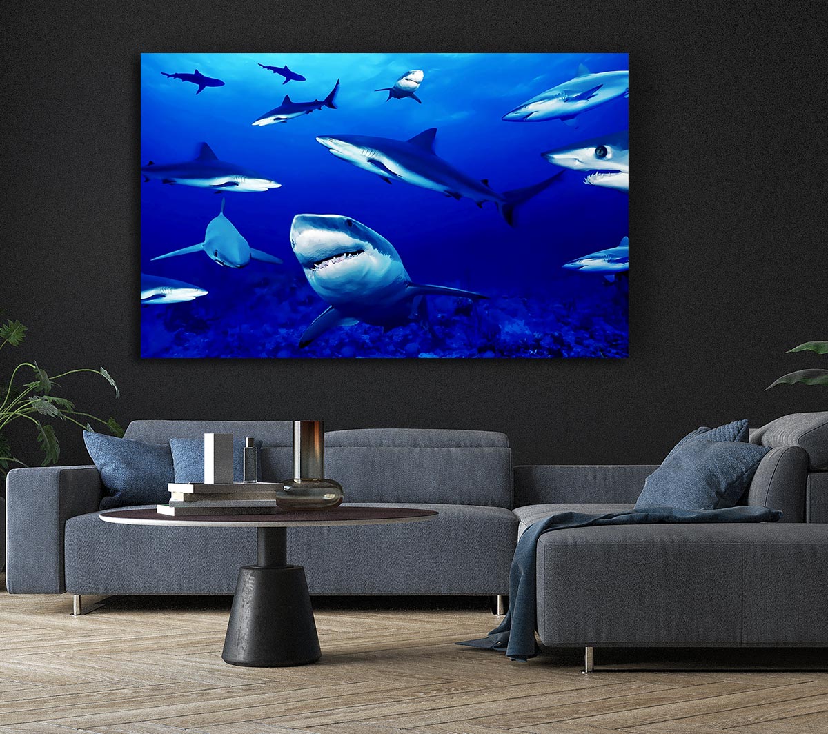 Sharks Ocean