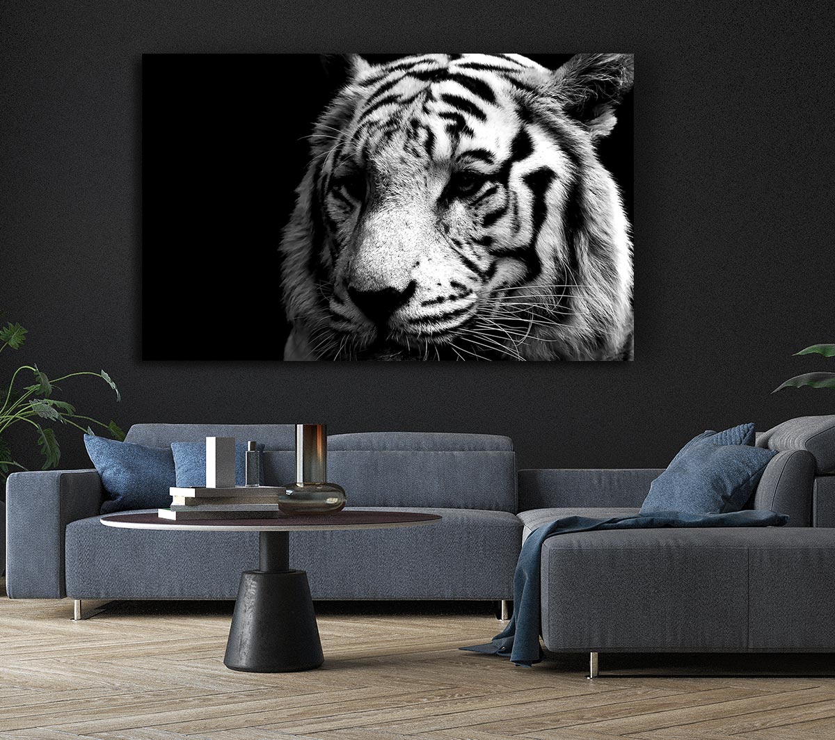 Tiger Black And White