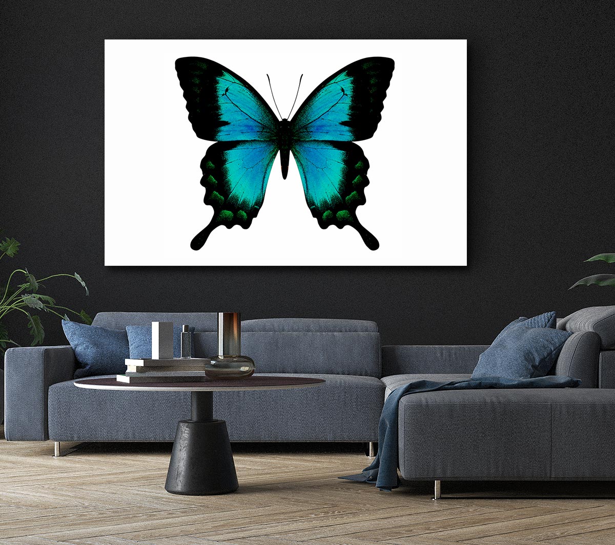 Turquoise Butterfly Wings