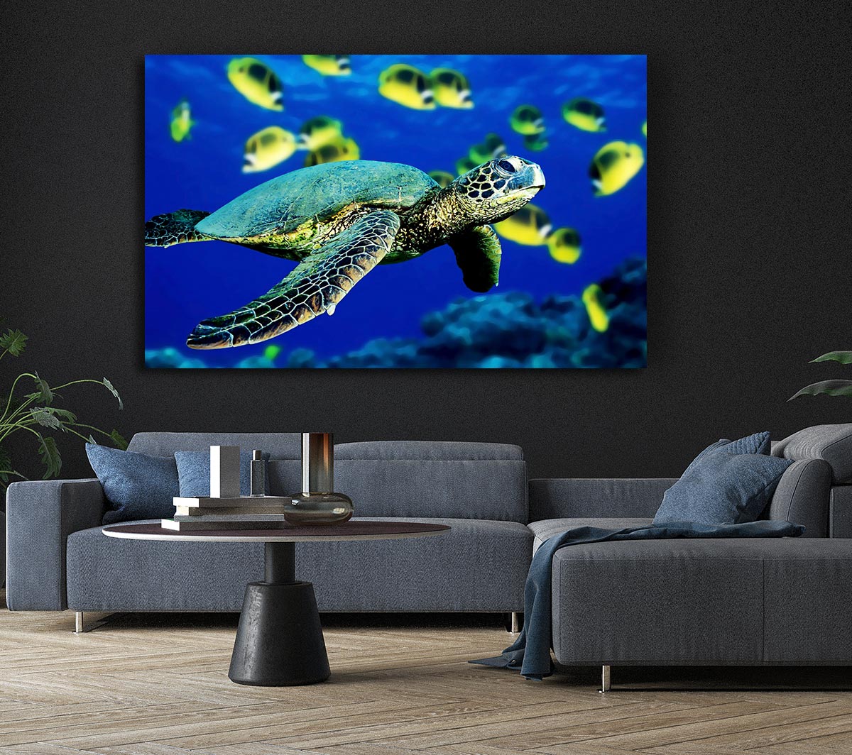 Turtle Ocean