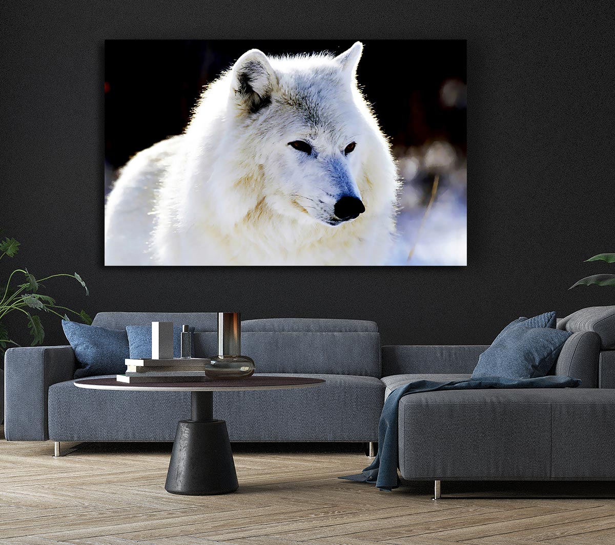 White Arctic Wolf