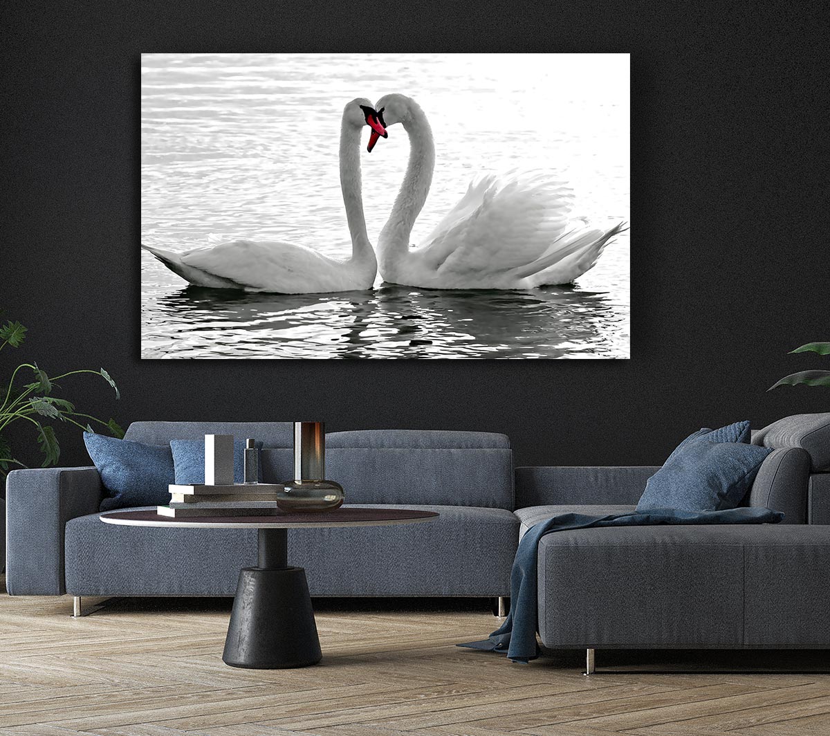 White Swans 2