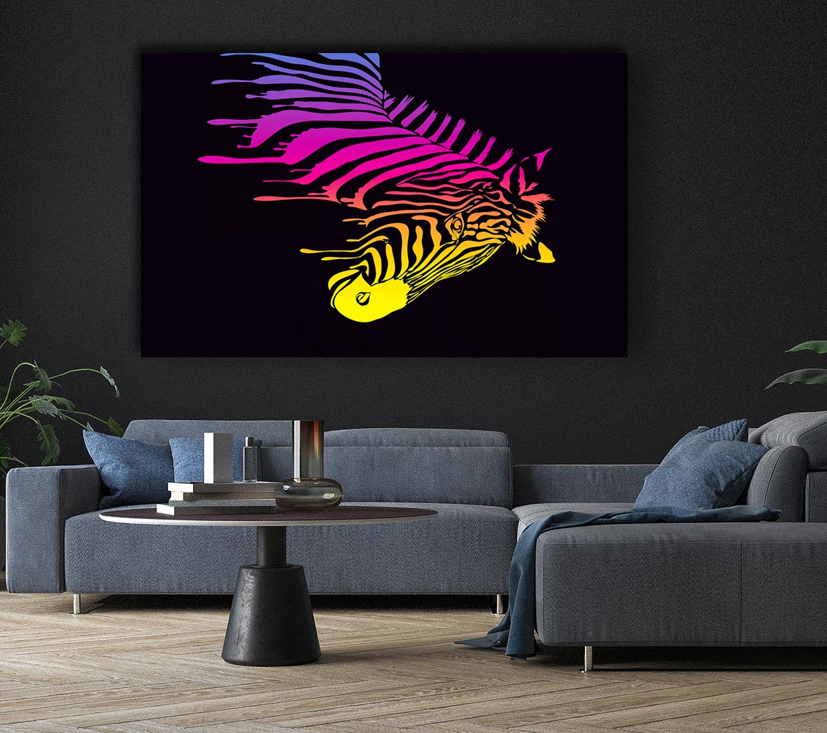 Zebra Rainbow