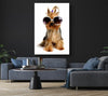 Yorkshire Terrier Dog Glamour