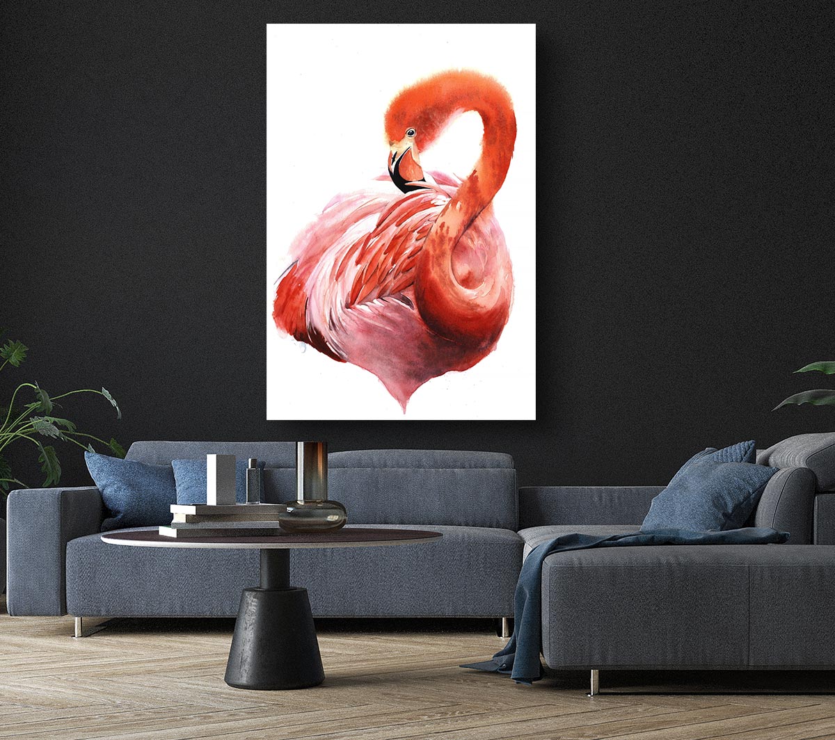 Flamingo Groom