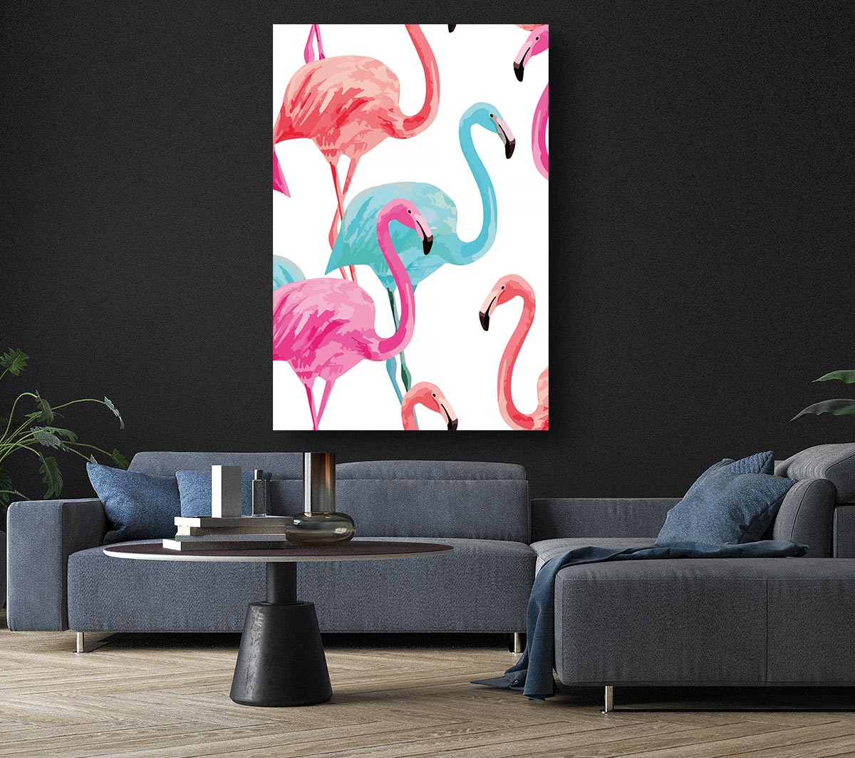 Flamingo Colours