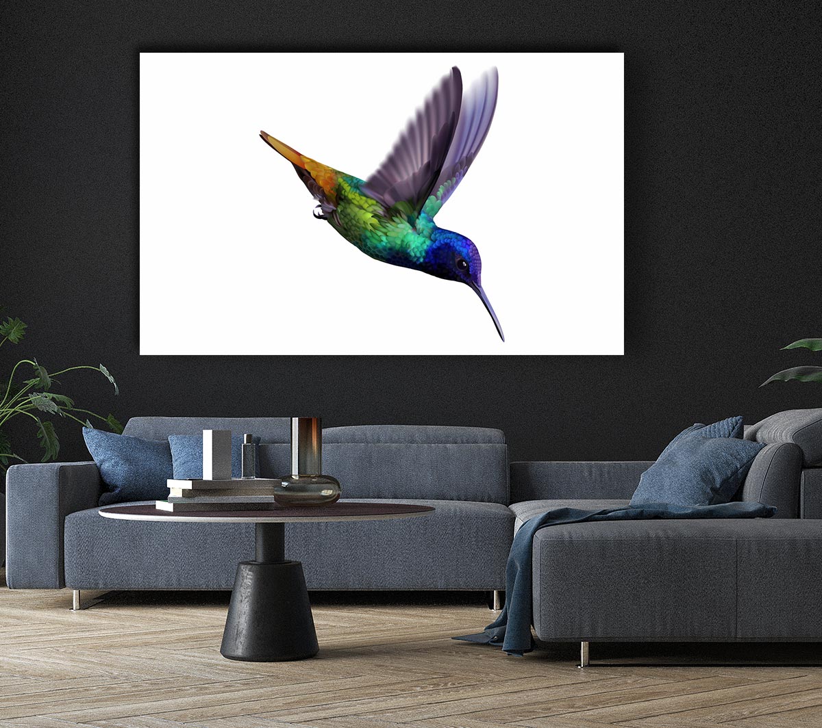 Hummingbird Colours