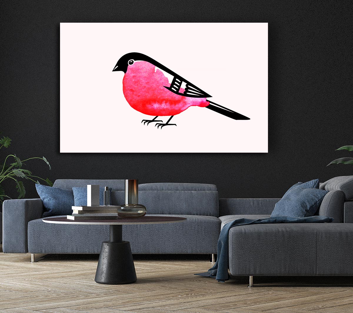 Pink Robin Breast