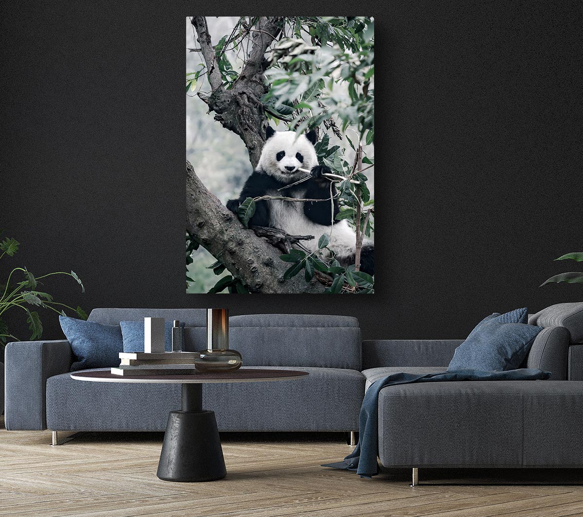 Panda Tree Lover