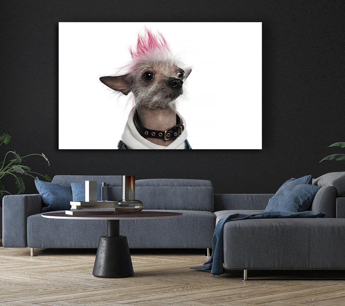 Chinese Crested Punk Dog