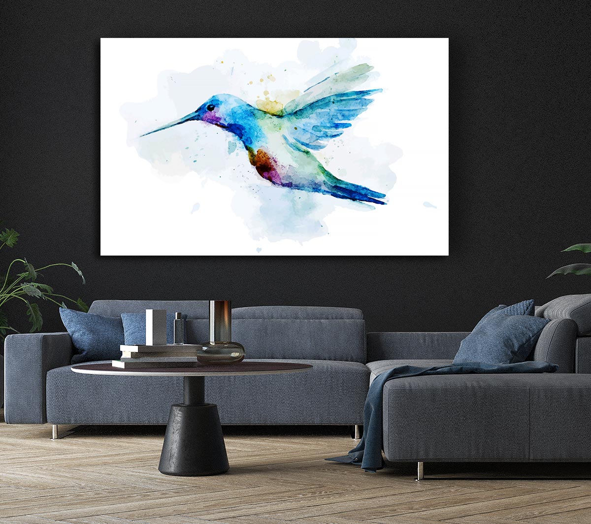 Hummingbird Splash