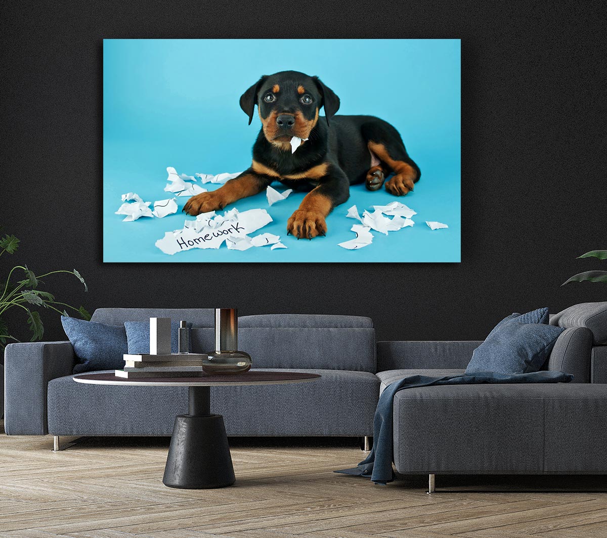 Naughty Rottweiler Puppy Dog