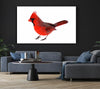 Scarlet Tanager Bird