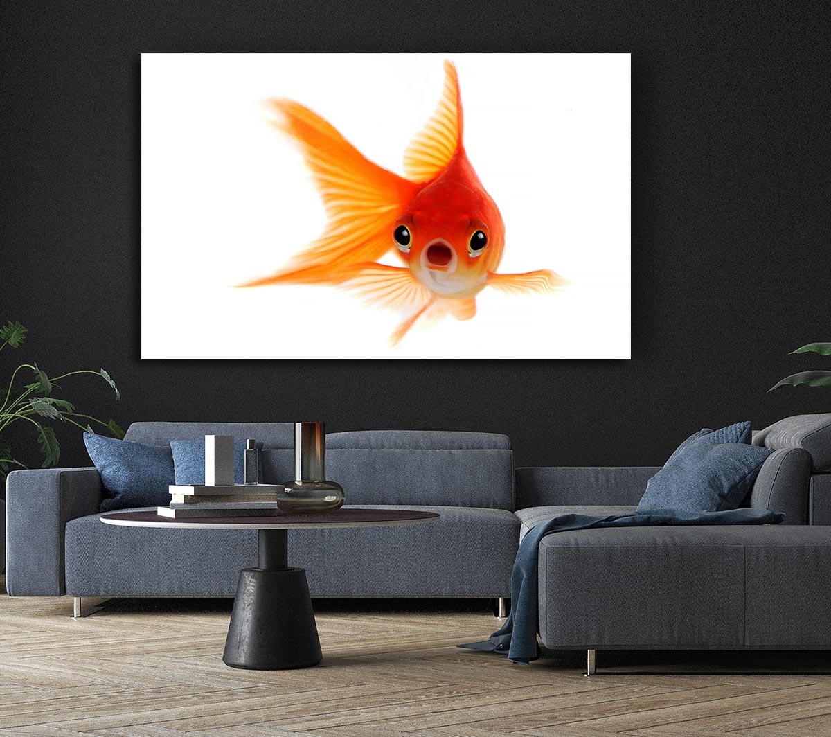 Shocked Goldfish