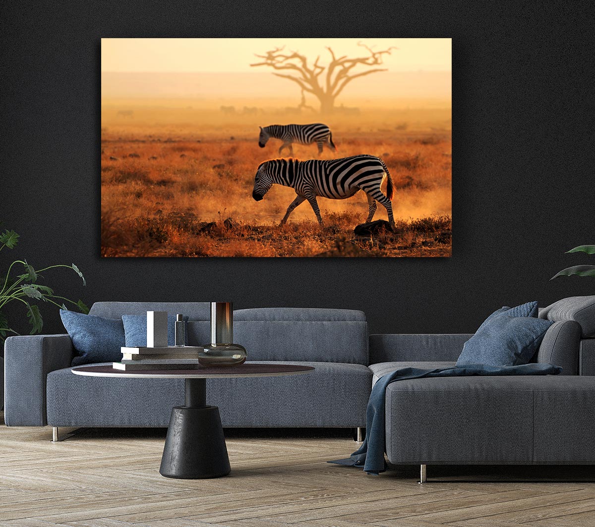 Sunset Zebra