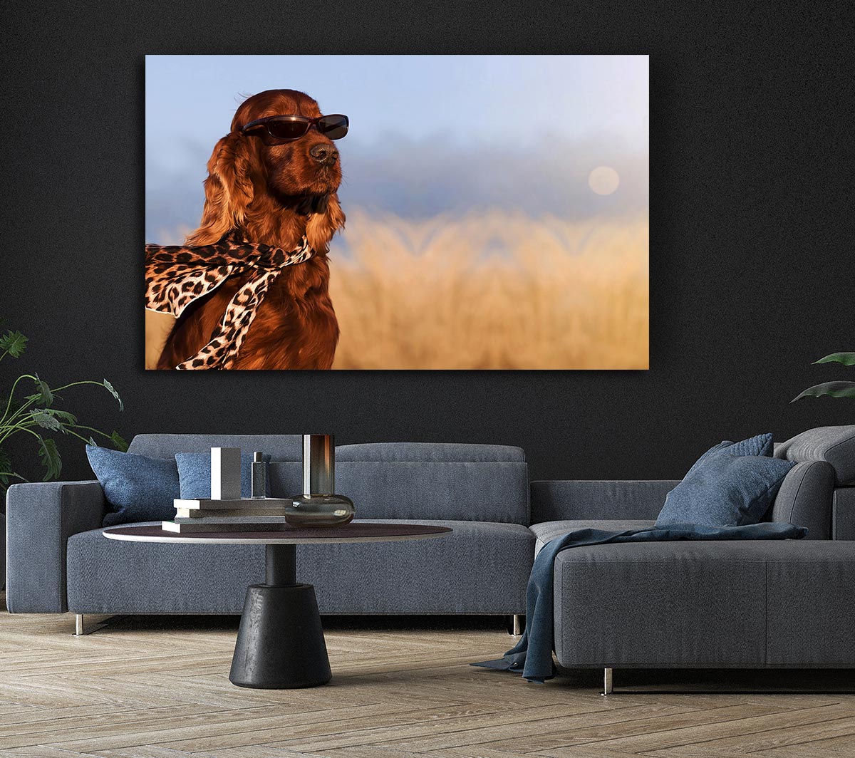 Glamorous Irish Setter Dog