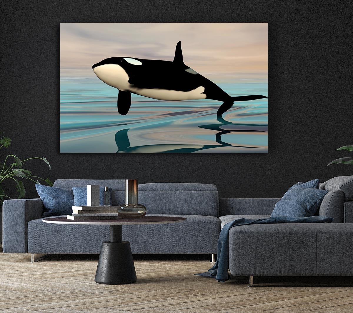 Killer Whale Jump