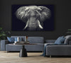 Majestical Elephant